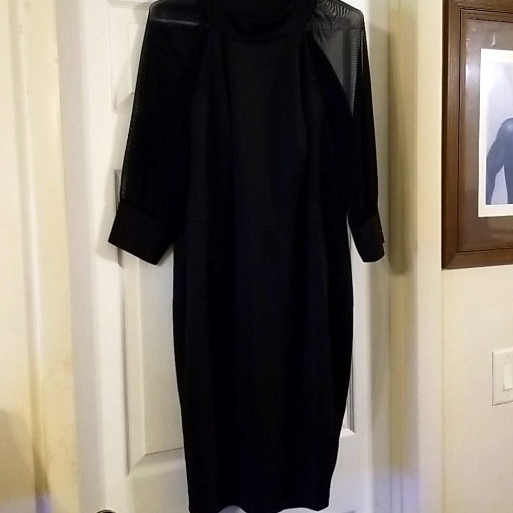 Sheer sleave Dress
